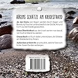 Rügens Schätze am Kreidestrand – für kleine und große Fossiliensammler - 2